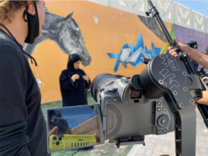 بين أروقة الفن